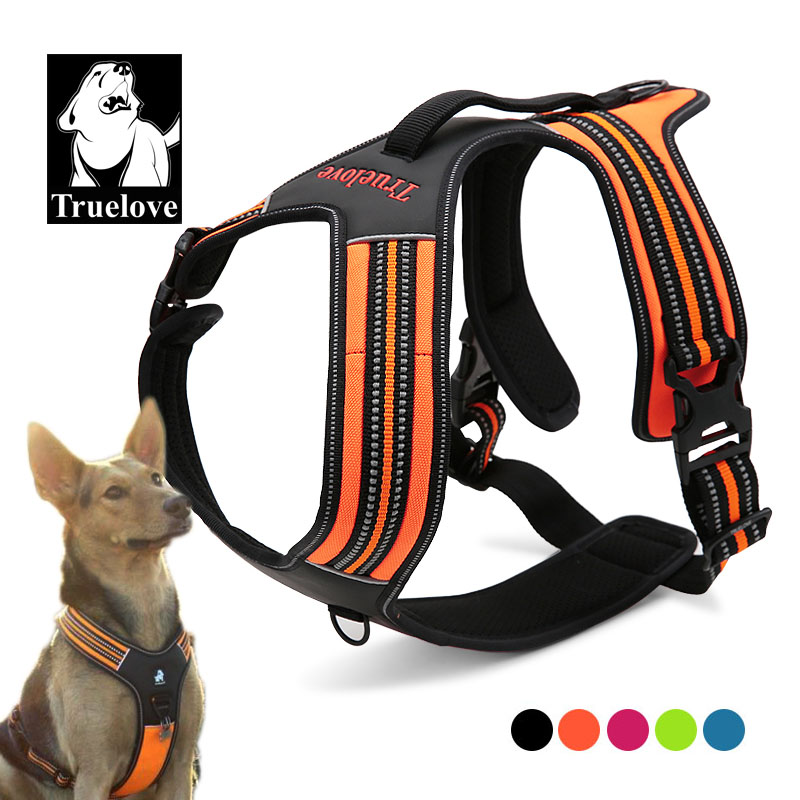 Outdoor Adventure Xl - Truelove Sport Nylon Reflektierendes Anti-Zug Hundegeschirr