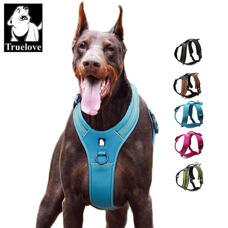 Truelove Sport Nylon Reflektie – Outdoor Adventure Xl Bewertung und Preis